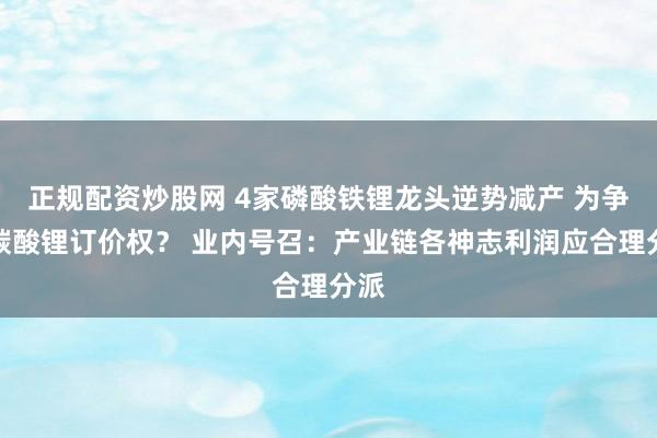 正规配资炒股网 4家磷酸铁锂龙头逆势减产 为争夺碳酸锂订价权？ 业内号召：产业链各神志利润应合理分派