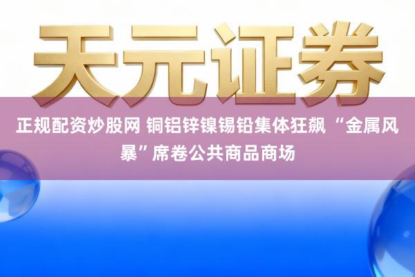 正规配资炒股网 铜铝锌镍锡铅集体狂飙 “金属风暴”席卷公共商品商场